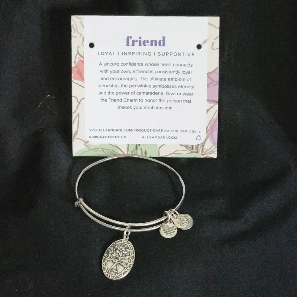 Alex and Ani Because I Love You Friend II Periwinkle Charm 2016 Silver Bangle